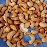 anacardium_occidentale_ao_dsc01103_106_e5a906