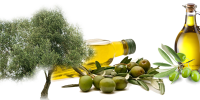zeytin_yagi